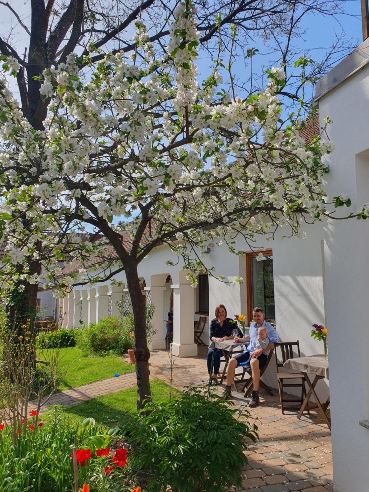 Weingut Bohrn Himmelbett Otel Herrnbaumgarten Dış mekan fotoğraf